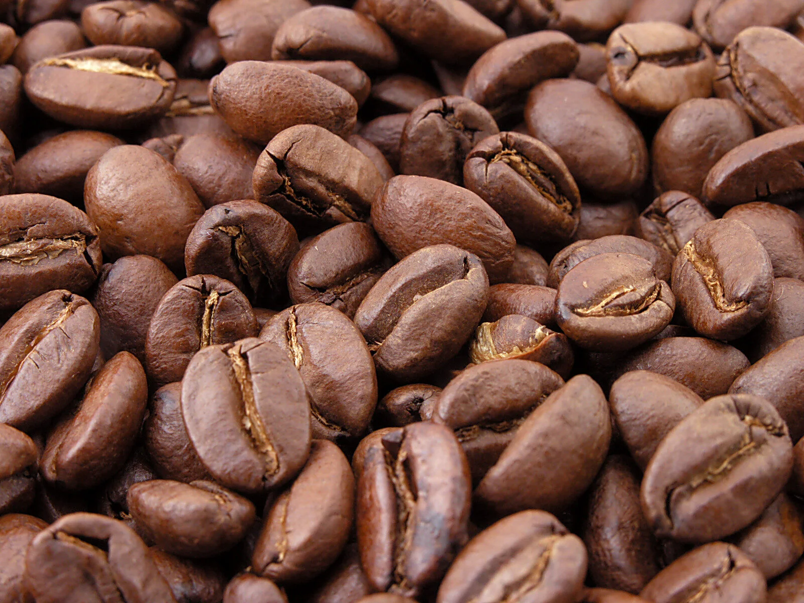 Local Beans, Global Dreams